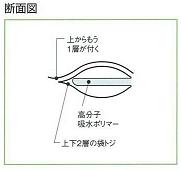 スワ、セル断面図