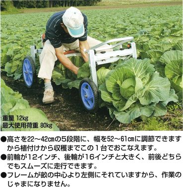 乗用植付け、収穫兼用作業車