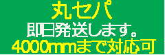 丸セパ　即日発送致します。