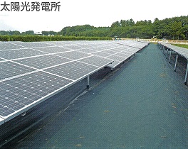 太陽光発電現場に、ザバーン防草シート