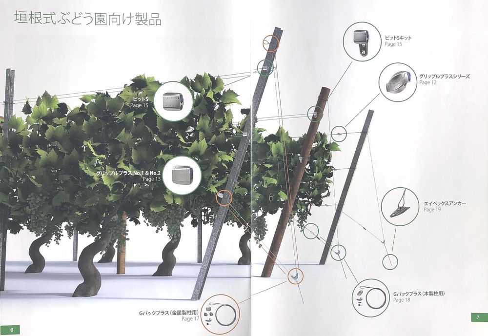 垣根式ぶどう園向け製品