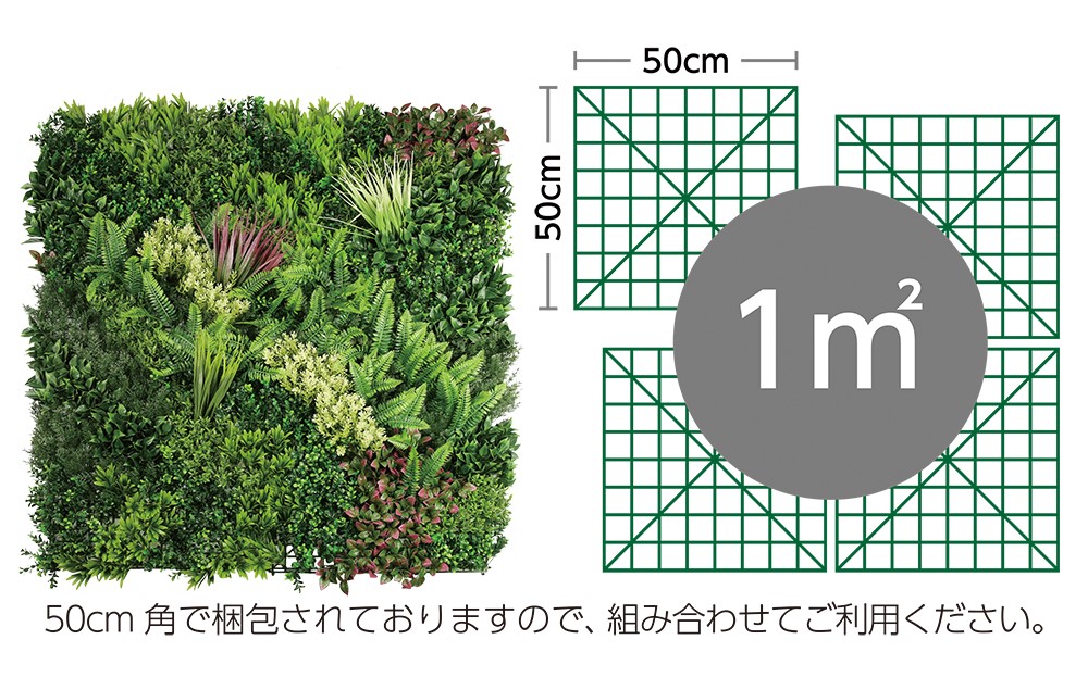 モアリーフC