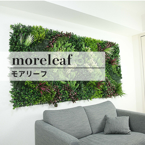 モアリーフ(moreleaf)